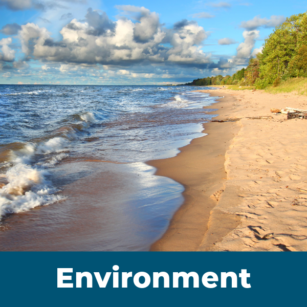 Environment